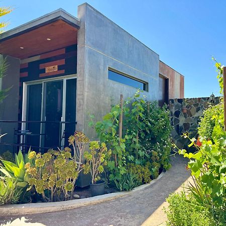 Entre Vides Valle De Guadalupe Zewnętrze zdjęcie
