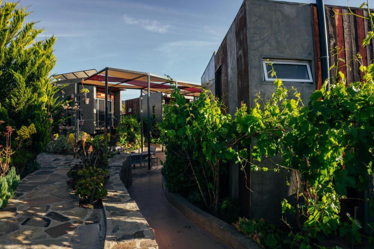 Entre Vides Valle De Guadalupe Zewnętrze zdjęcie