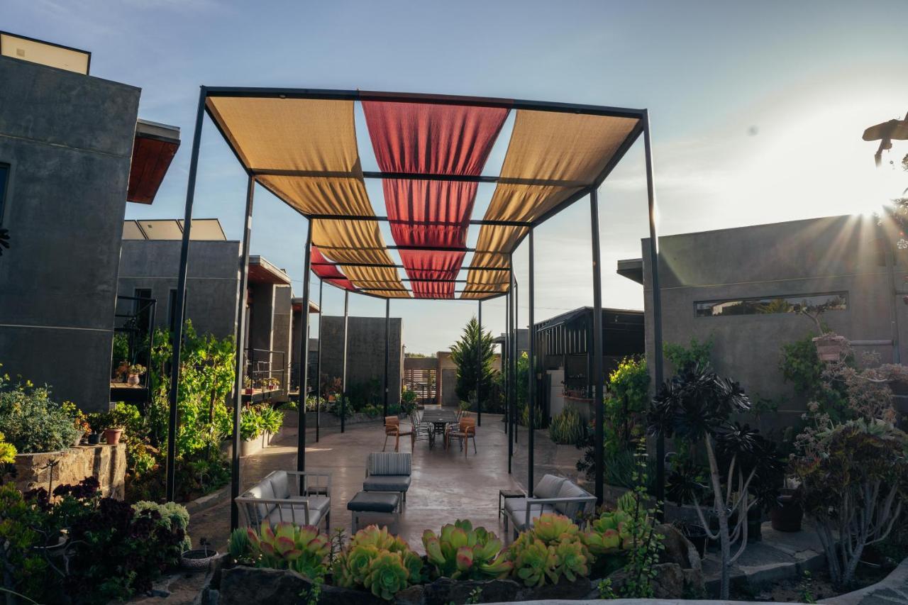 Entre Vides Valle De Guadalupe Zewnętrze zdjęcie