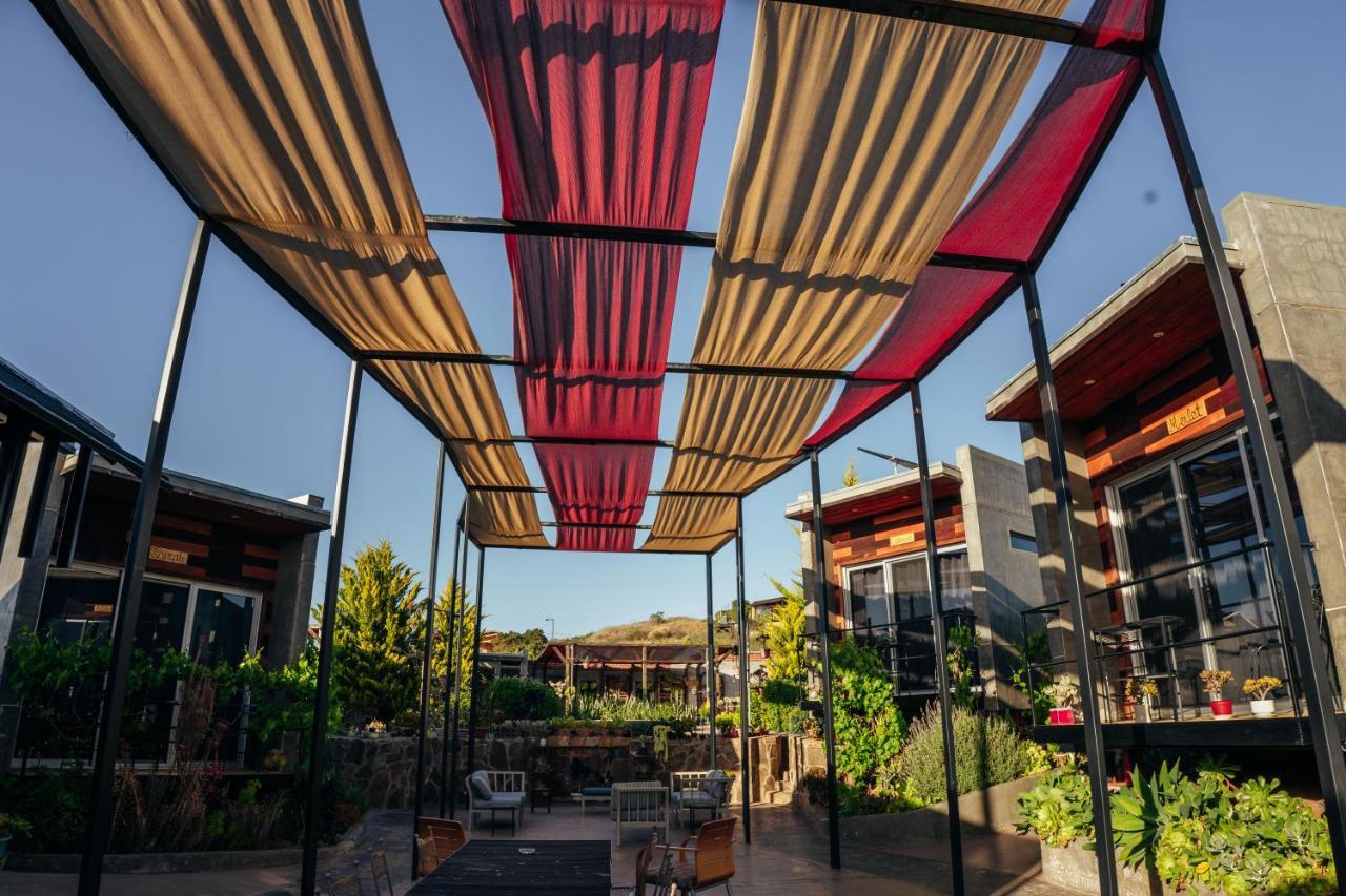 Entre Vides Valle De Guadalupe Zewnętrze zdjęcie