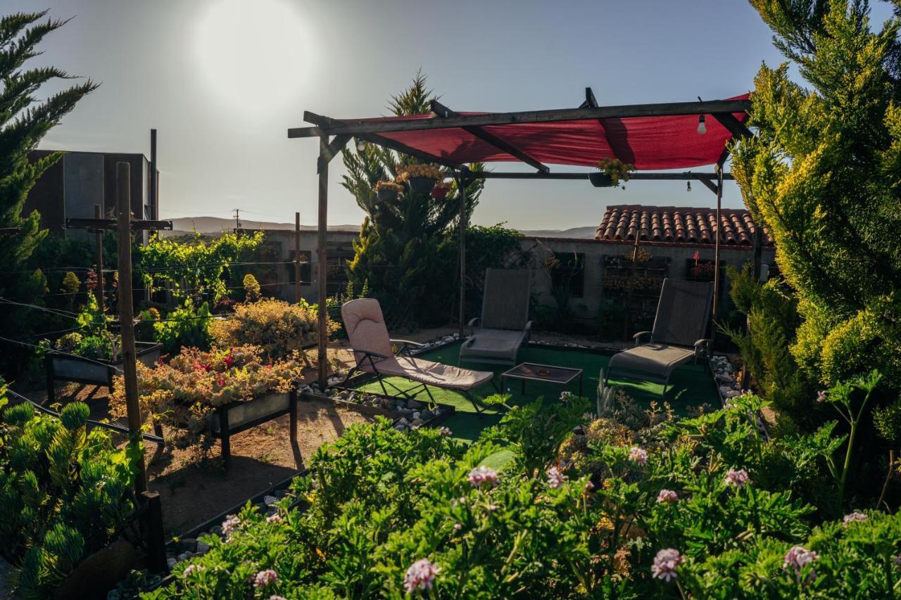 Entre Vides Valle De Guadalupe Zewnętrze zdjęcie