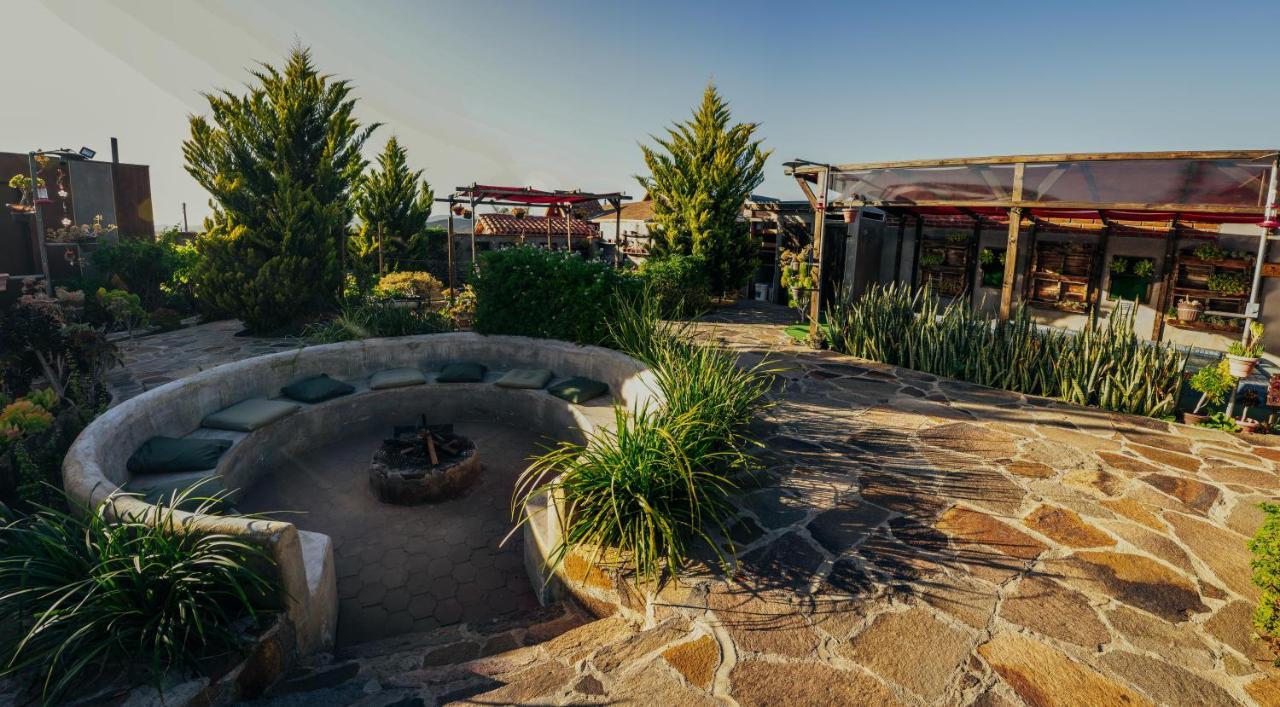 Entre Vides Valle De Guadalupe Zewnętrze zdjęcie
