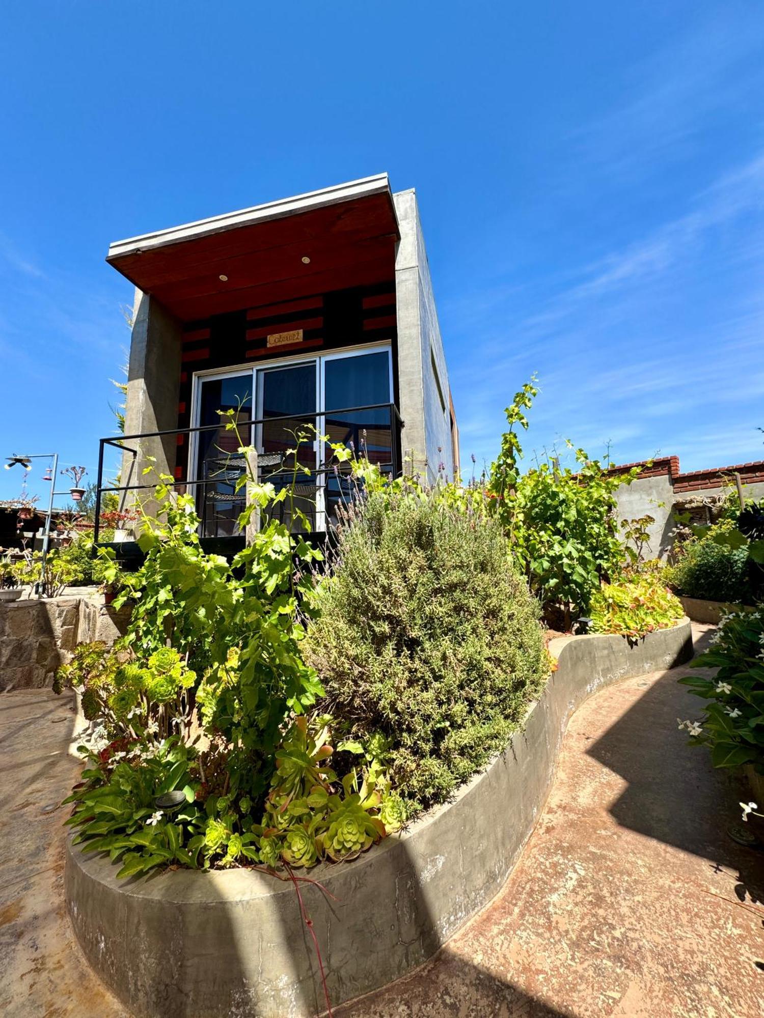 Entre Vides Valle De Guadalupe Zewnętrze zdjęcie